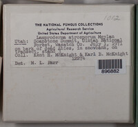 Image Associated With the Occurence